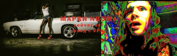 ПСИЛОЦИБИНОВЫЕ ГРИБЫ Верхнеуральск