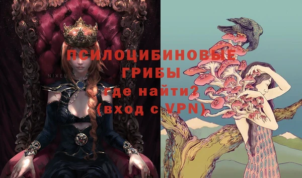 МДПВ Верея