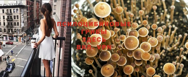 МДПВ Верея