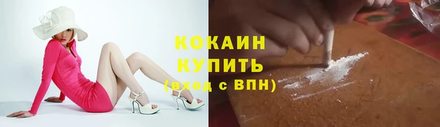 ПСИЛОЦИБИНОВЫЕ ГРИБЫ Верхнеуральск