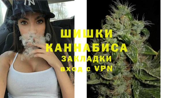 ПСИЛОЦИБИНОВЫЕ ГРИБЫ Верхнеуральск