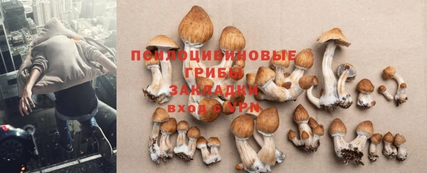 МДПВ Верея