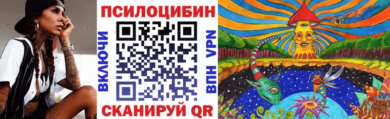 продажа наркотиков  Щучье  блэк спрут ссылки  мориарти официальный сайт  Галлюциногенные грибы ЛСД 